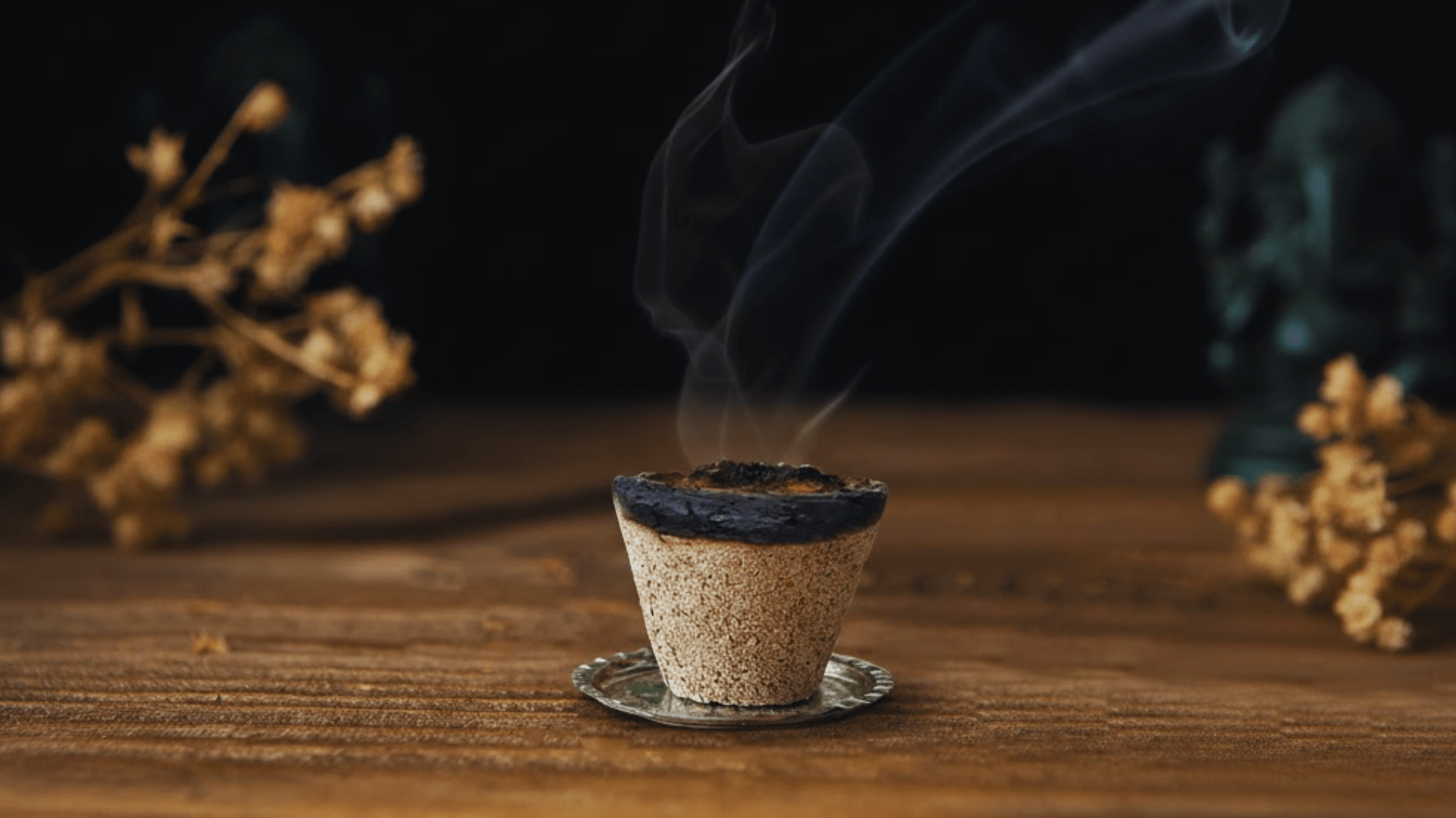 havan cup blog